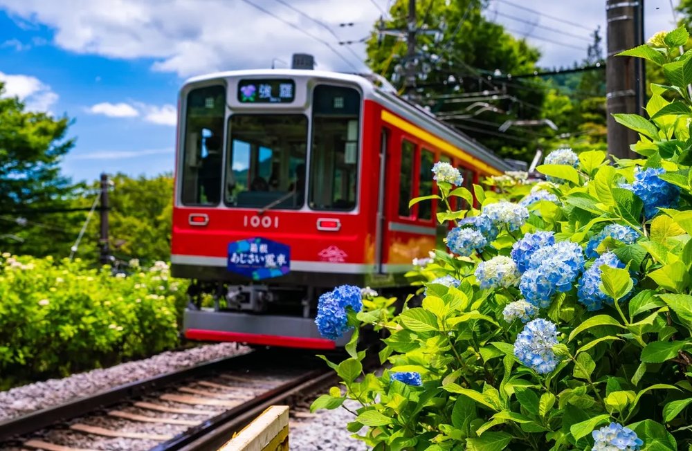 Hakone Hydrangea Train, ฮาโกเนะ