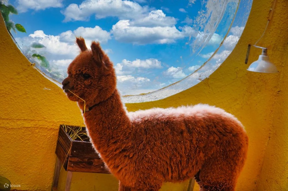 Khu Du Lịch Fresh Garden Và Fresh Zoo Đà Lạt