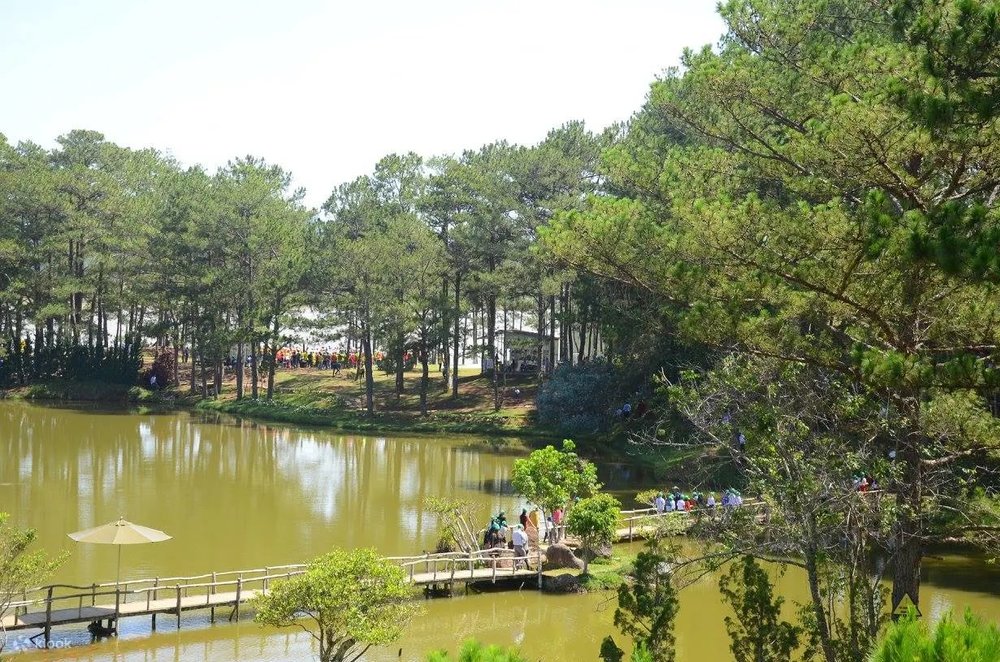 Chữa Lành Giữa Thiên Nhiên Tại Thung Lũng Vàng