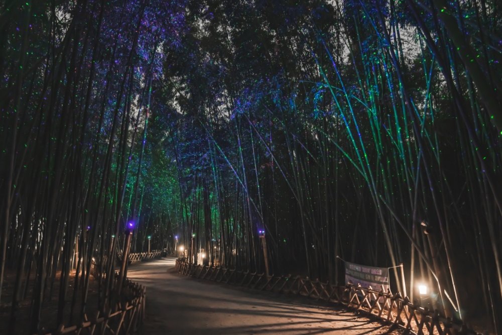 Korea Road Trip: Simni Bamboo Grove