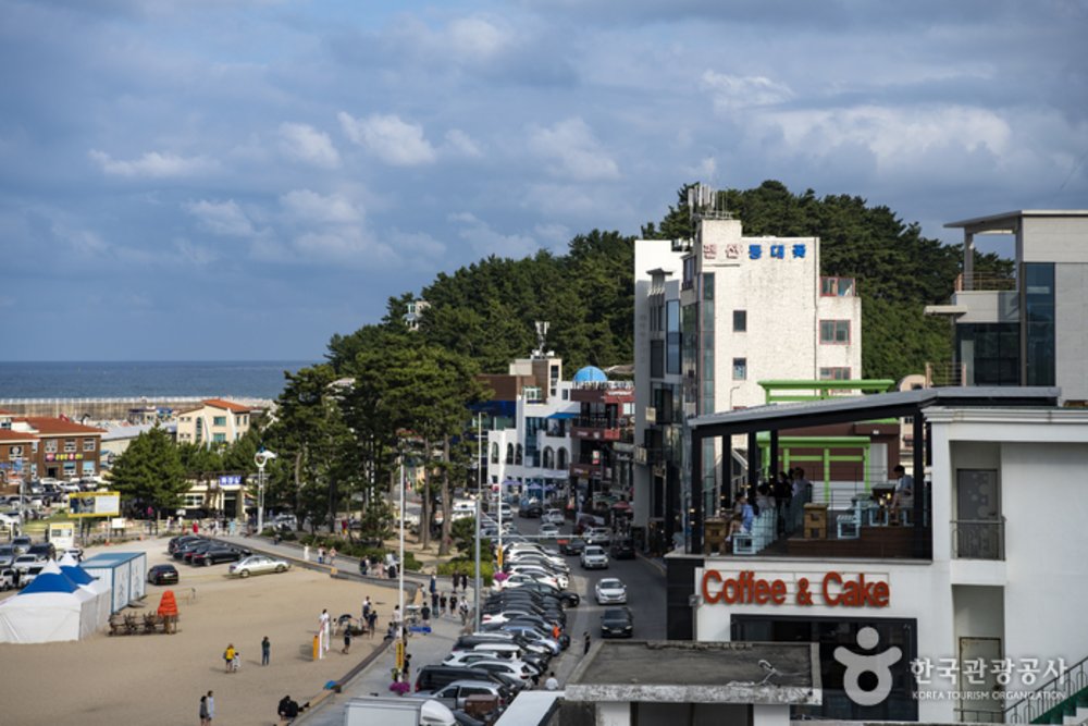 Korea Road Trip: Gangneung Animok Coffee Street