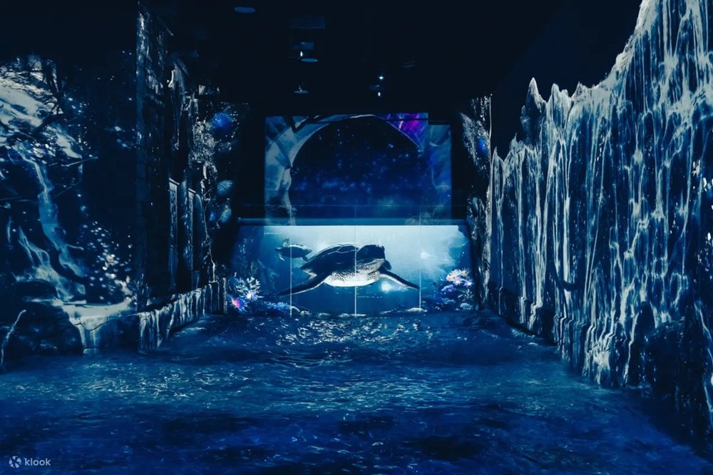 Korea Road Trip: Waterworld Digital Theme Park