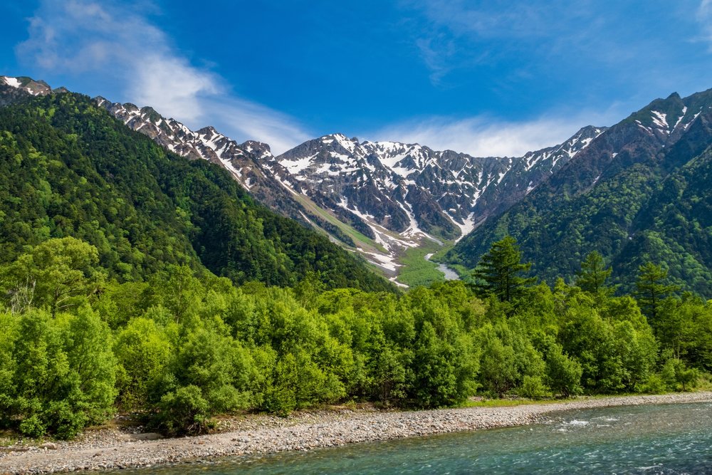 ทุ่งหญ้าอัลไพน์ในบริเวณโทคุซาวะ คามิโคจิ (Kamikochi) ประเทศญี่ปุ่น