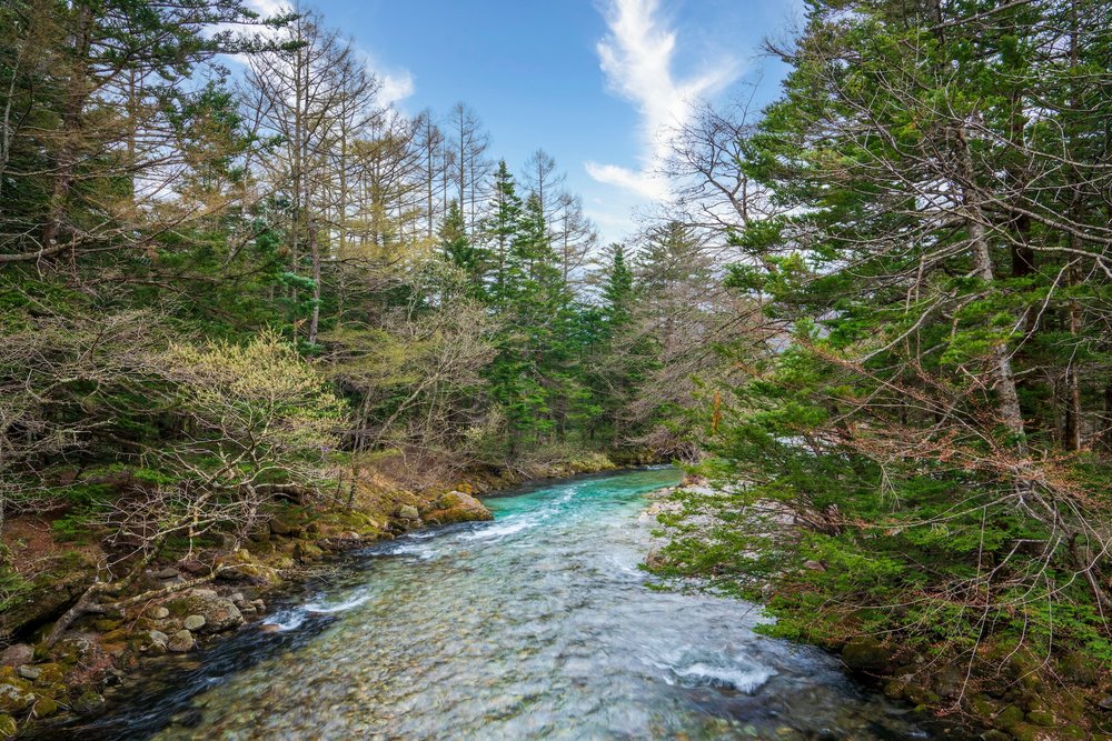 สะพานทาชิโระและแม่น้ำอะซุสะในเส้นทางเดินป่าคามิโคจิ (Kamikochi)