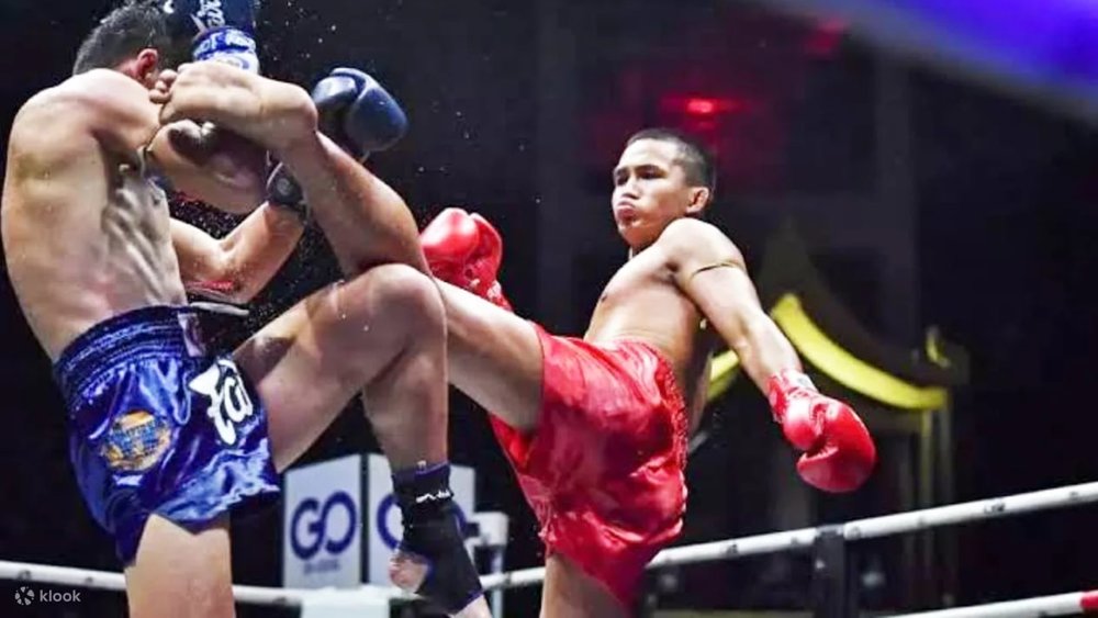 Chiang Mai Boxing Stadium – Trải Nghiệm Muay Thái Miền Bắc