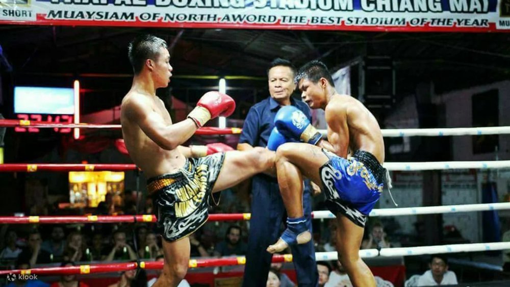 Thapae Chiang Mai – Võ Đài Muay Thái Gắn Với Lịch Sử