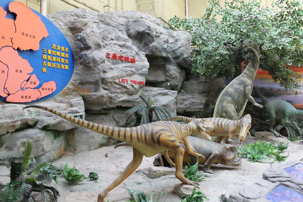 Family Friendly Beijing TTD: museum