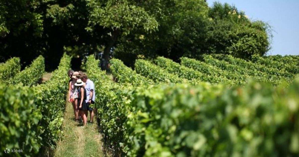 Du Lịch Thung Lũng Loire Mùa Nào Đẹp Nhất?