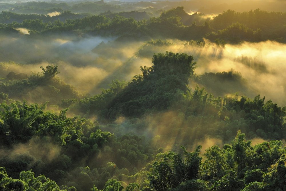 Ngày 4: Pháo Đài Anping - Nhà Cây Anping -  Đền Khổng Tử - Bảo Tàng Chimei - Phố Cổ Anping