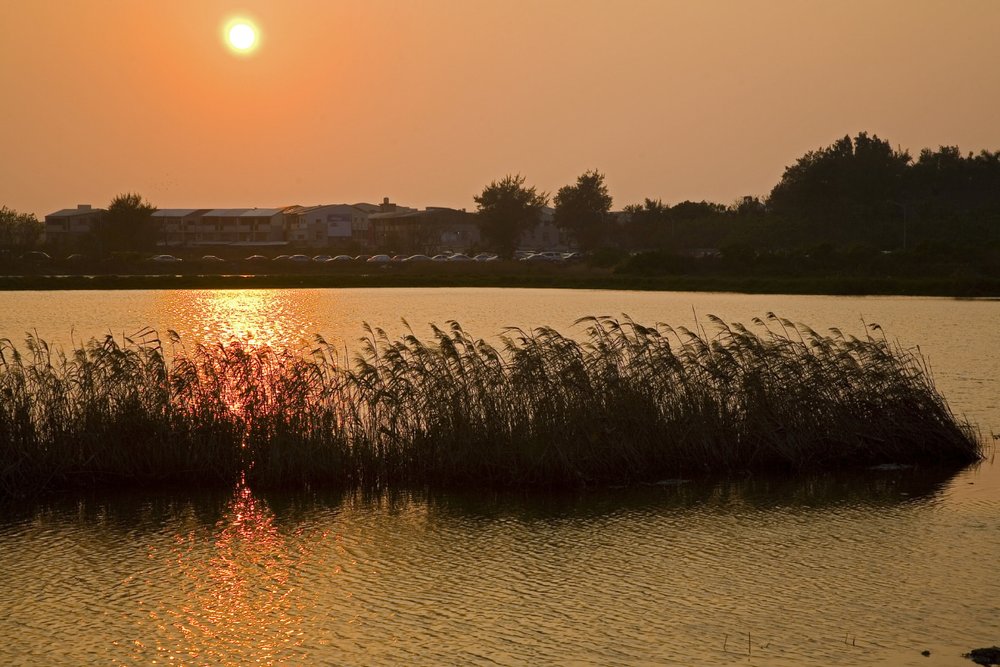 Ngày 5: Bảo Tàng Lịch Sử Quốc Gia Đài Loan - Trở Về Đài Bắc Để Về Việt Nam