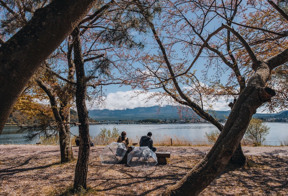 บรรยากาศทะเลสาบคาวากุจิโกะในฤดูใบไม้เปลี่ยนสี