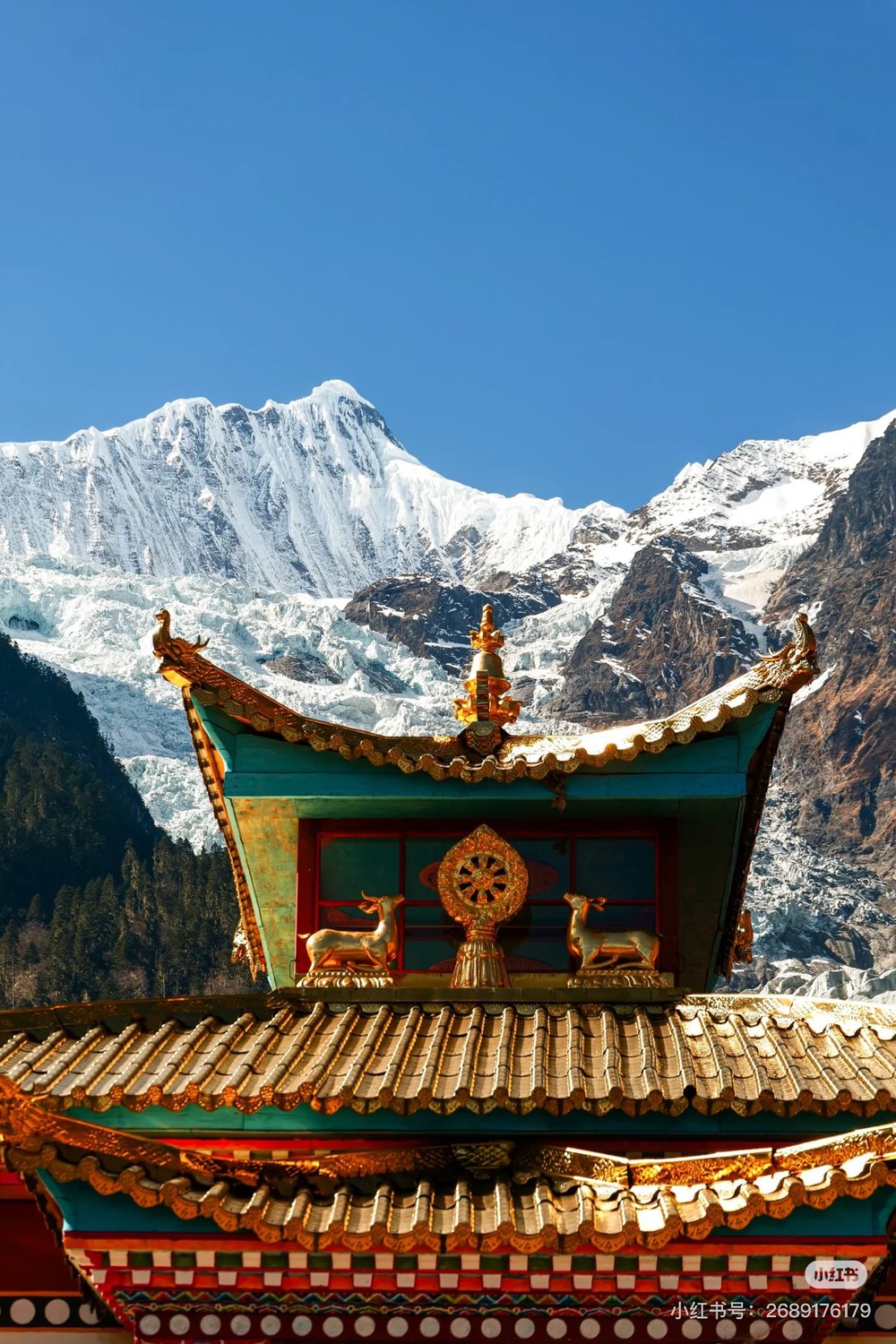 梅里雪山景點, 明永冰川