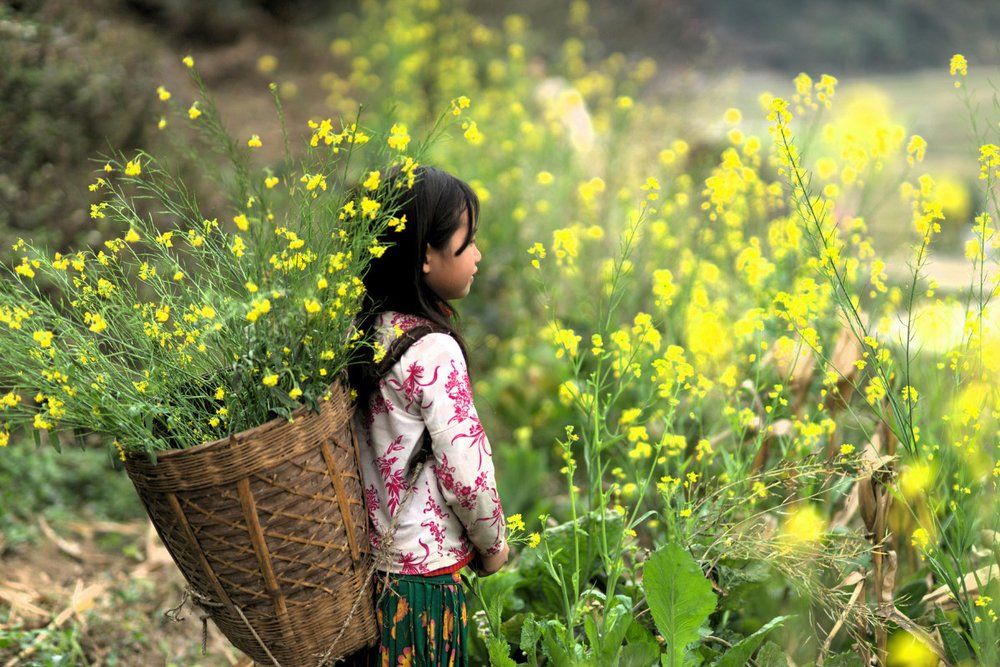 Lạc Giữa Cao Nguyên Đá Ở Hà Giang Vào Mùa Đông