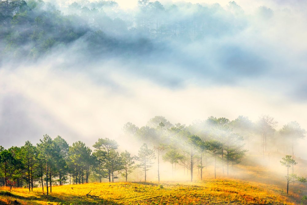 Hẹn Hò Tại Đà Lạt Cho Một Giáng Sinh An Lành
