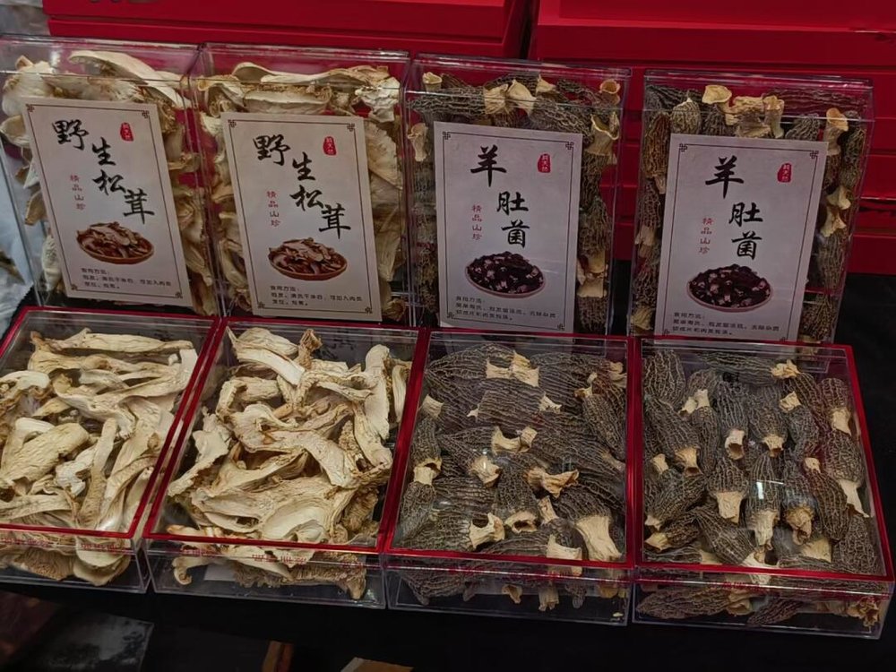 雲南手信, 野生菌, 雲南必買, 雲南特產