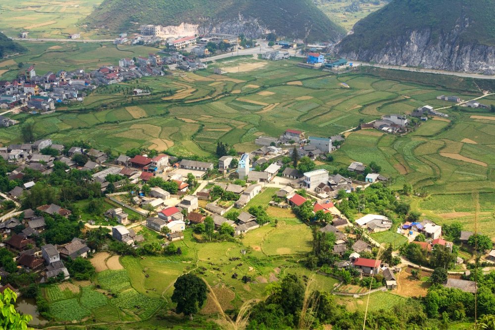 Buổi Trưa: Nghỉ Chân Tại Yên Minh – Nạp Năng Lượng Giữa Rừng Thông