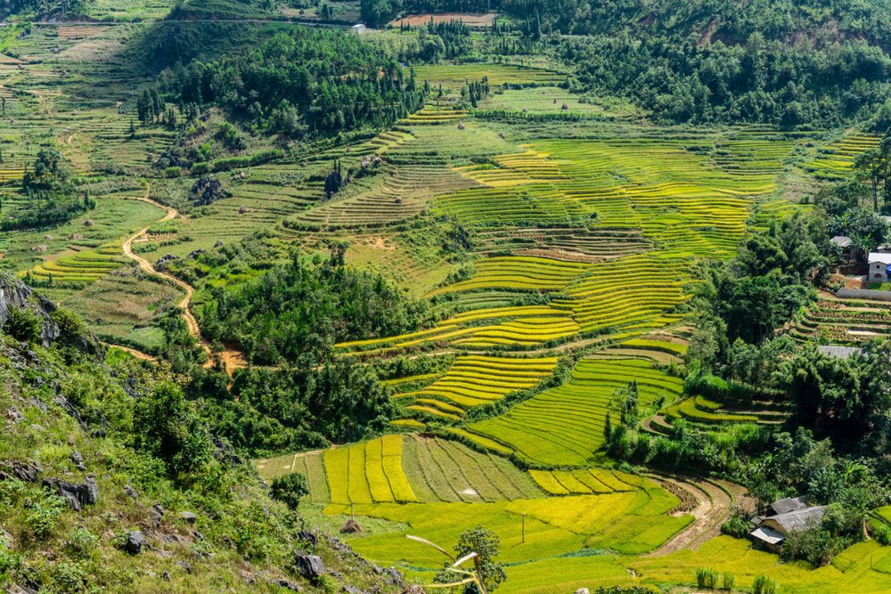 Buổi Tối: Đặt Chân Đến Đồng Văn – Phố Cổ Và Những Món Ngon Vùng Cao