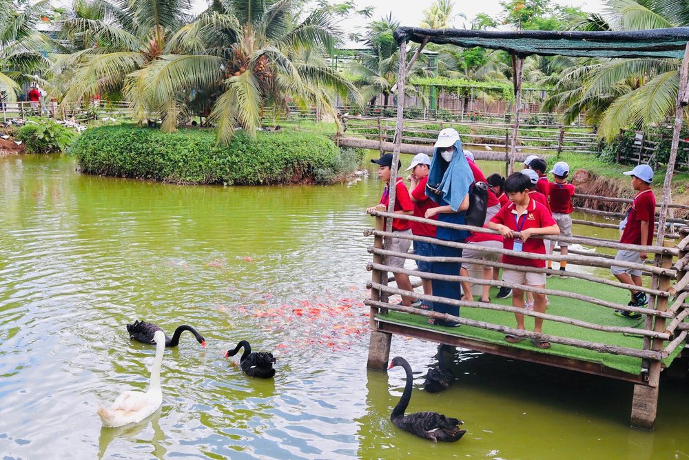 Cách Di Chuyển Đến TTC Mekong Aqua Park Bến Tre