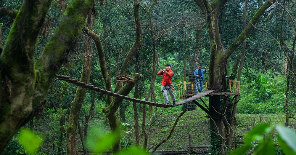 Thử Thách 20 Trò Chơi Trên Cây Dài Nhất Việt Nam