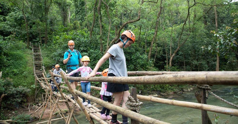 Ngắm Động Thực Vật Quý Hiếm Của Rừng Phong Nha – Kẻ Bàng