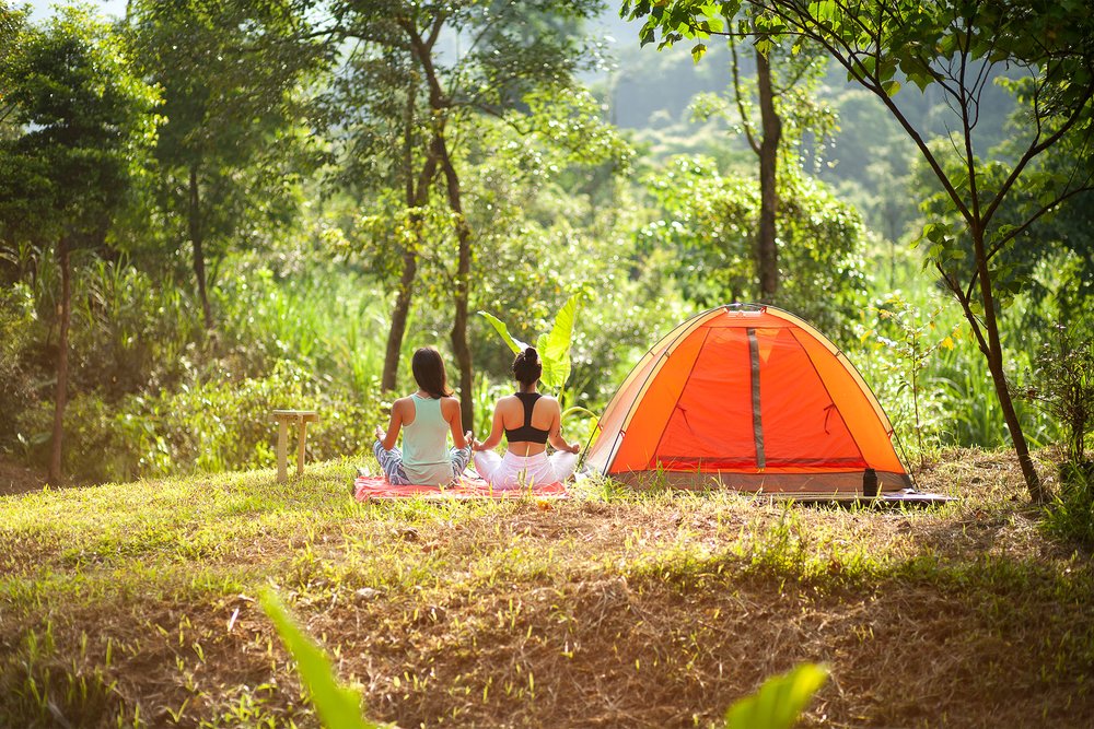 Giá Vé Và Giờ Mở Cửa Công Viên Ozo Treetop Park