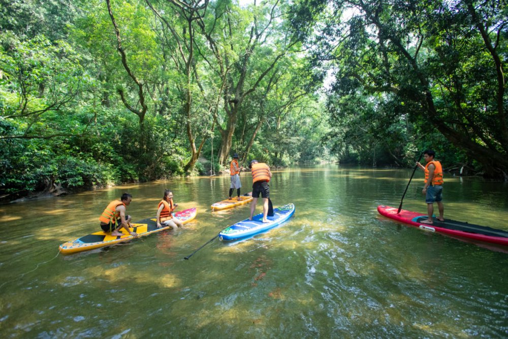 Cách Di Chuyển Đến Ozo Treetop Park Quảng Bình