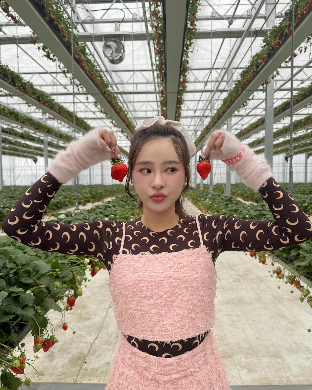 日本水果季節 12月至5月 士多啤梨