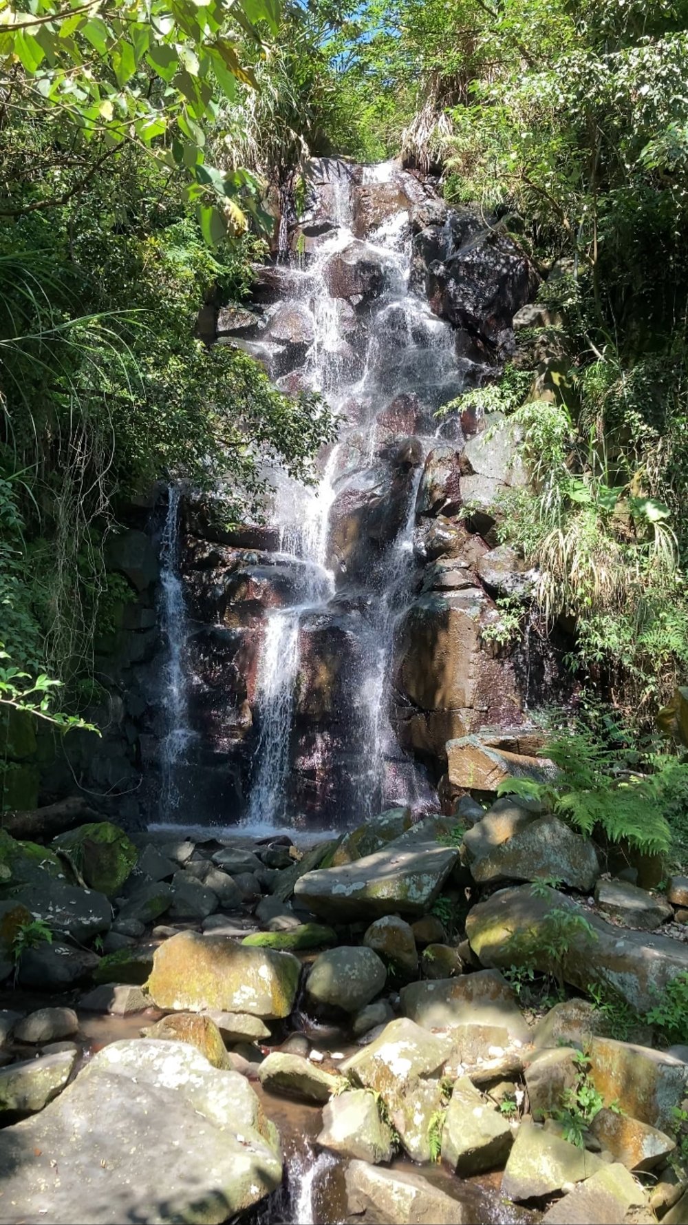 台北・北投温泉|源泉の吹出口を近くで見れる30分ハイキング+無料ラジウム泉の足湯に行ってみた 滝