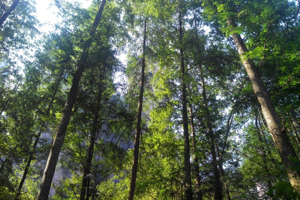  Thung Lũng Thập Lý Họa Lang