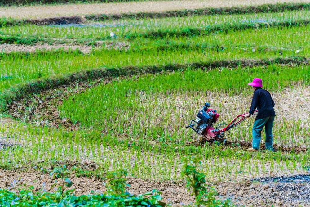 Di Chuyển Ở Đồng Văn