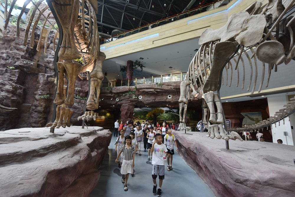  Bảo Tàng Địa Chất Trung Quốc – Nơi Lưu Giữ Bí Ẩn Của Trái Đất Qua Triệu Năm