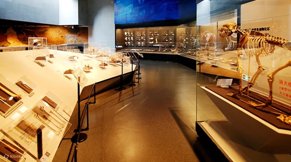 Bảo Tàng Chu Khấu Điếm Ở Bắc Kinh – Khám Phá Dấu Tích Người Cổ Bắc Kinh