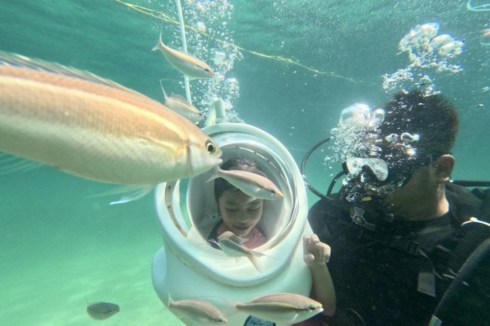 Khám Phá San Hô Sừng Hươu Duy Nhất Ở Miền Bắc - Đảo Cô Tô, Quảng Ninh