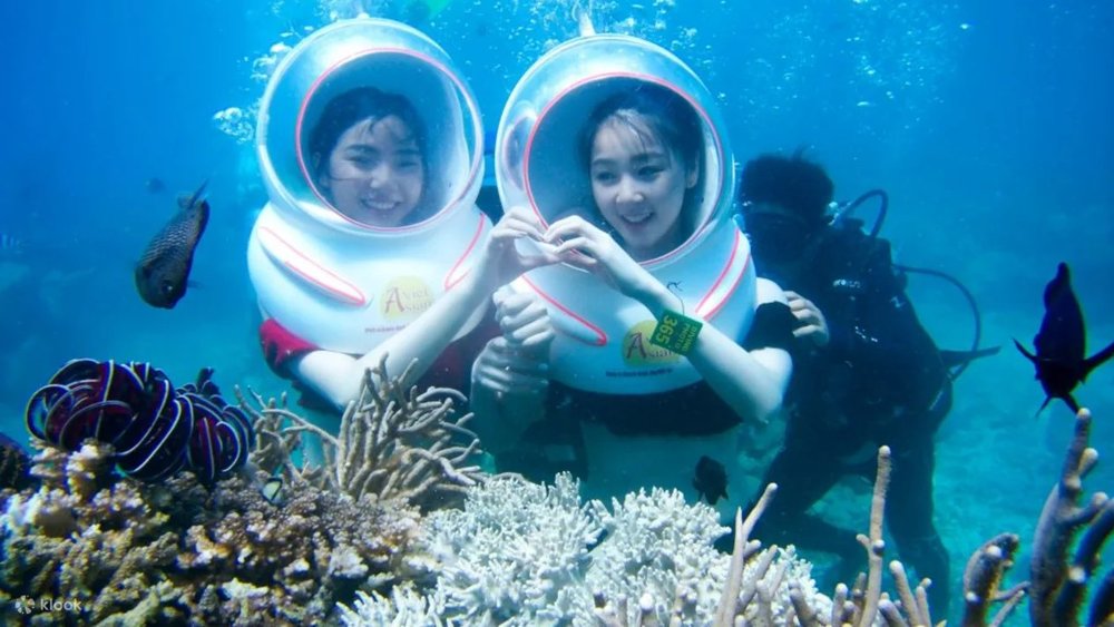 Lặn Biển Hoặc Đi Bộ Dưới Biển Ở Hòn Mun - Nha Trang