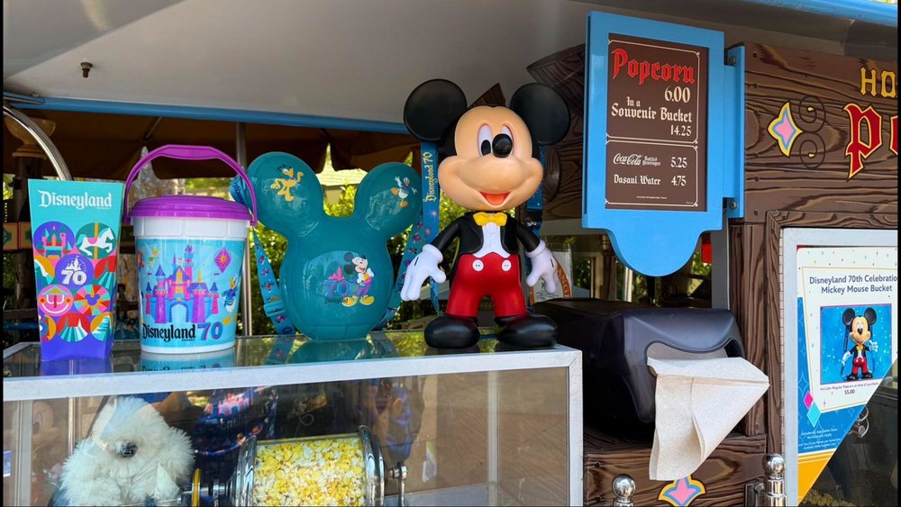 「世界で一番幸せな場所」カリフォルニアディズニー70周年を体験! 70周年の記念グッズ6 ポップコーンバスケット