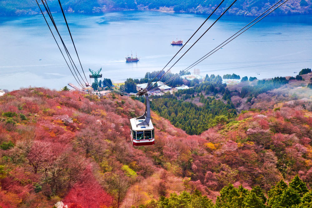 8h30 - 10h30: Di Chuyển Lên Cao Bằng Tàu Hakone Tozan & Cáp Treo Hakone