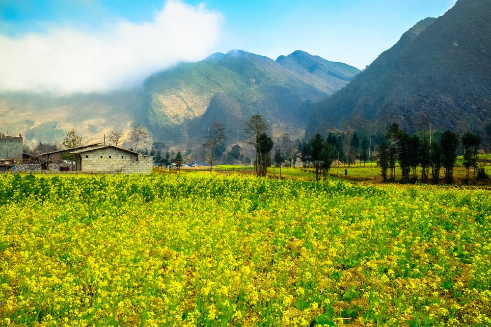 Du Lịch Quản Bạ Mùa Nào Đẹp Nhất?