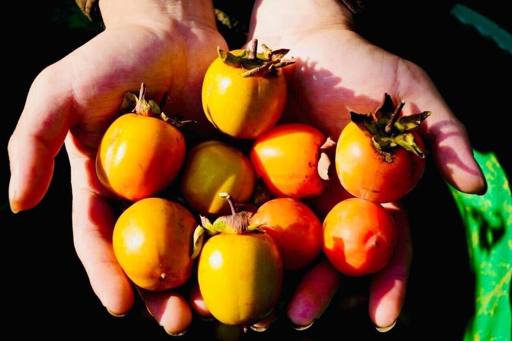 Các Món Đặc Sản Quản Bạ Mua Về Làm Quà 