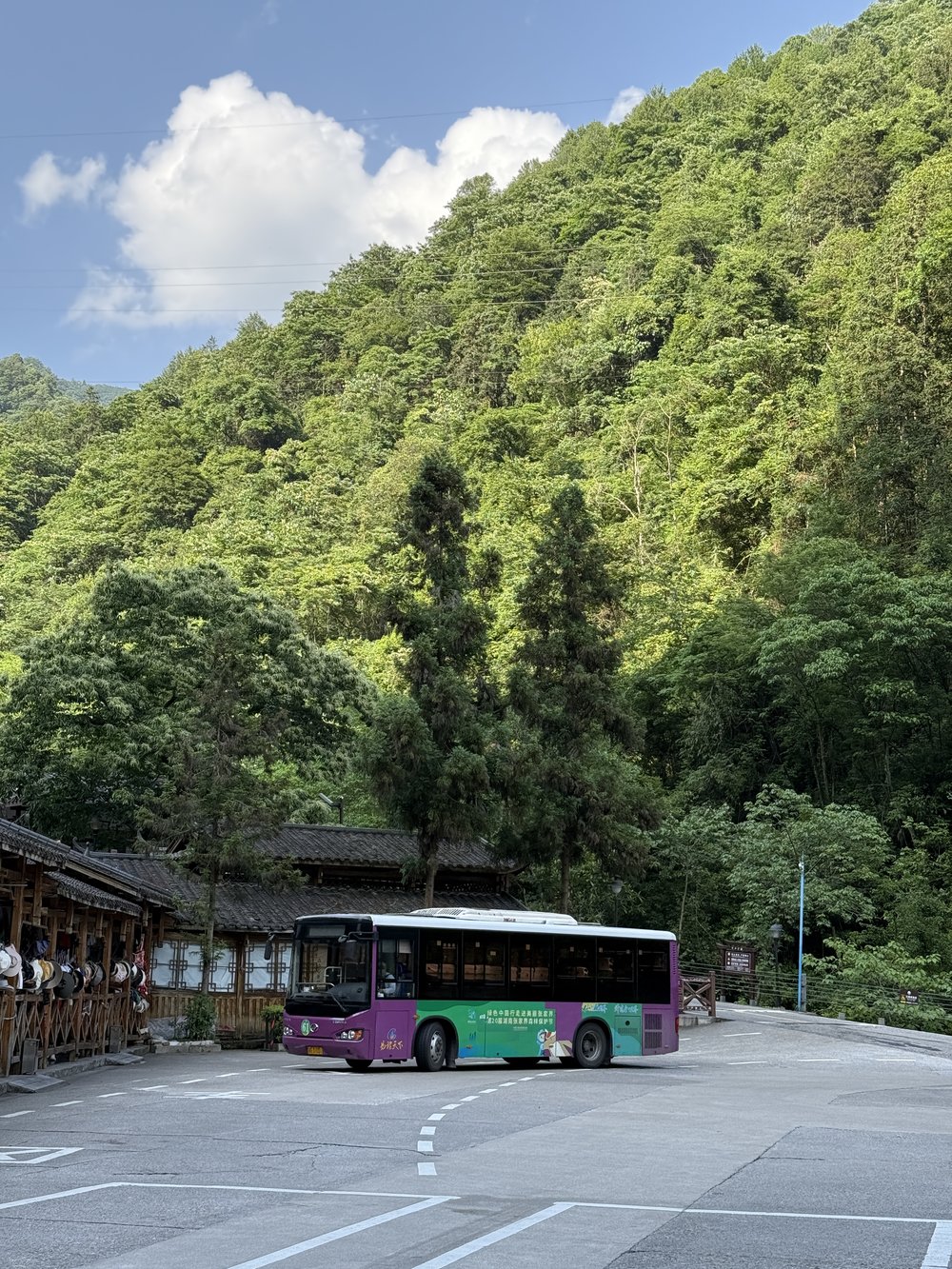 Zhangjiajie National Forest Park China - Free Shuttle Bus Service