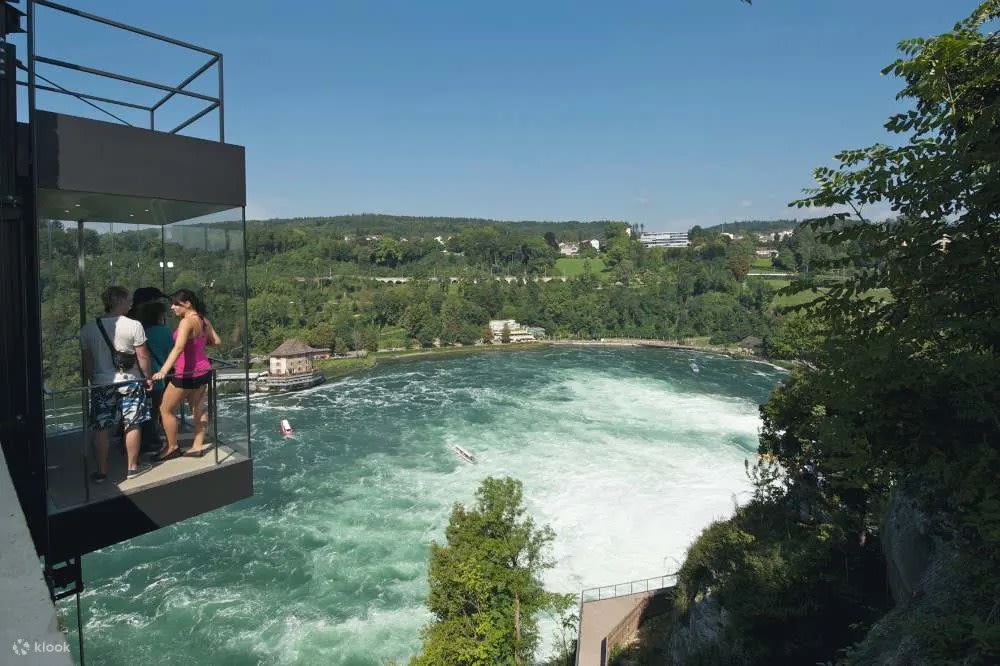 Rhine Falls View 