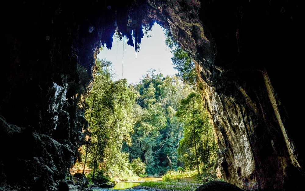 Các Dấu Mốc Quan Trọng: Từ Phát Hiện Đến Đưa Hang Sơn Đoòng Ra Thế Giới