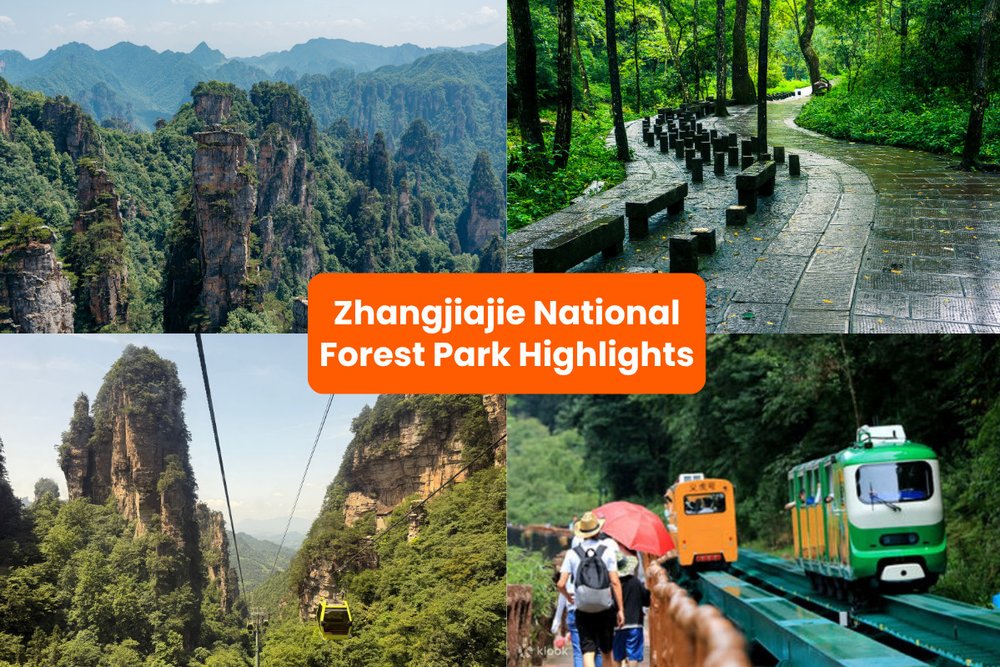 Zhangjiajie Itinerary in China - Zhangjiajie National Forest Park Highlights