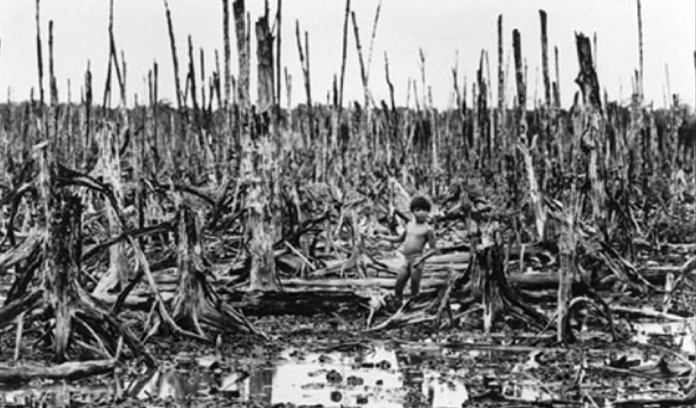 Chuyên Đề “Chất Độc Da Cam Trong Chiến Tranh Ở Việt Nam”