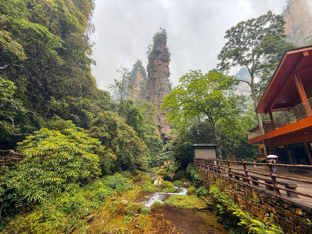 Lower Section of Zhangjiajie National Forest Park - Golden Whip Stream
