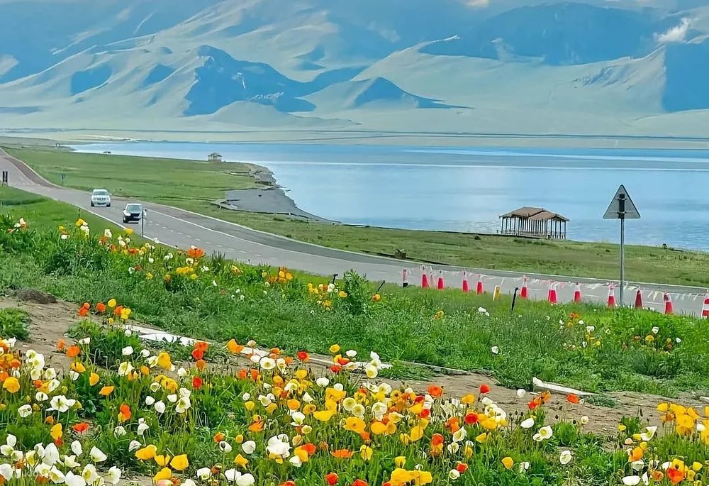 伊犁景點, 賽里木湖, 伊犁自由行, 伊犁旅遊攻略