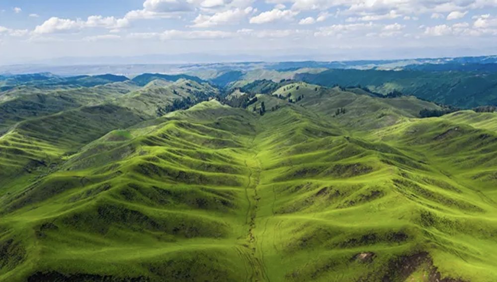伊犁景點, 喀拉峻草原景區, 伊犁自由行, 伊犁旅遊攻略