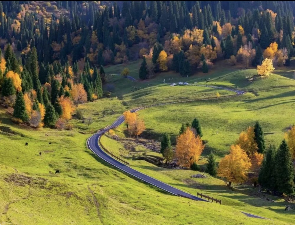 喀納斯旅遊｜最佳旅遊月份