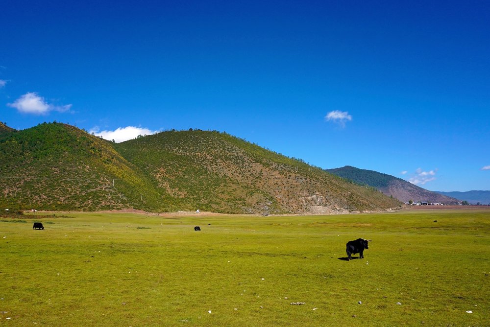 หุบเขาฤดูร้อนของแชงกรีล่า (Shangri‑La)