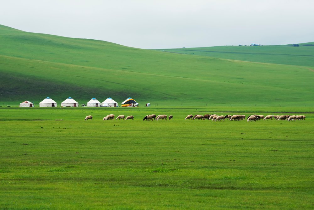 ทุ่งหญ้าหูลุนเป่ยเออร์ (Hulunbuir Grassland)