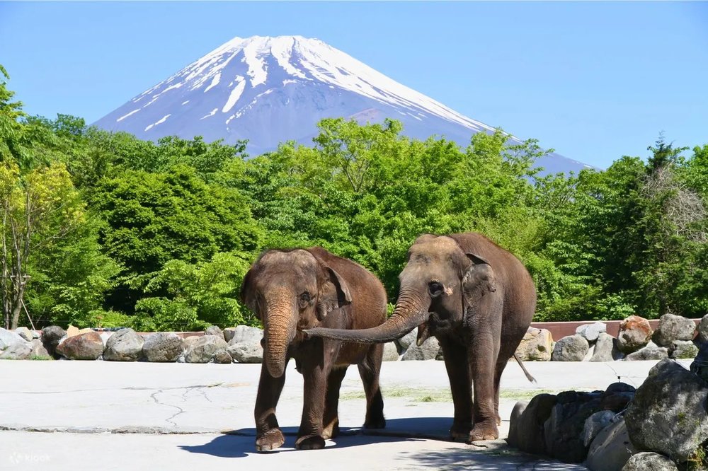 富士野生動物園
